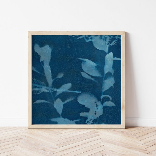 Collection Azur 04