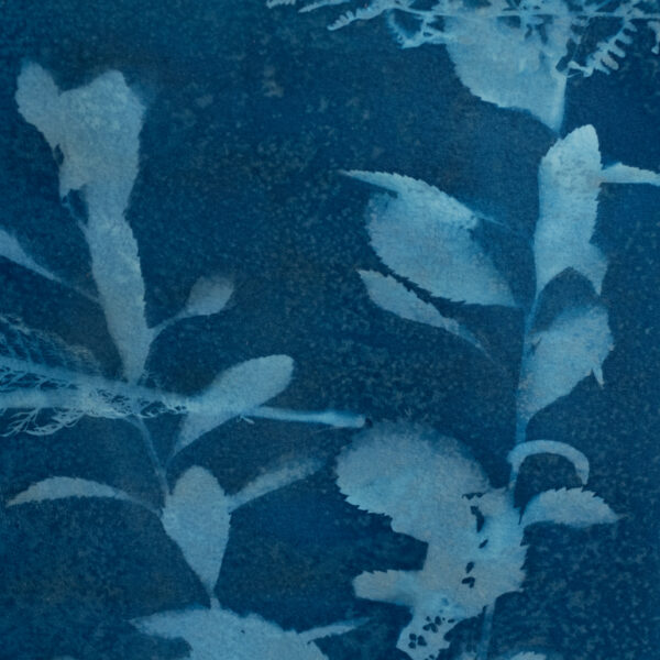 Collection Azur 04 – Image 2
