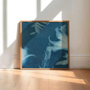 Collection Azur 05