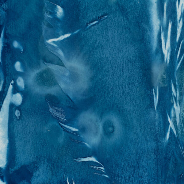 Collection Azur 07 – Image 2