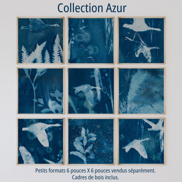 Collection Azur 07 – Image 3