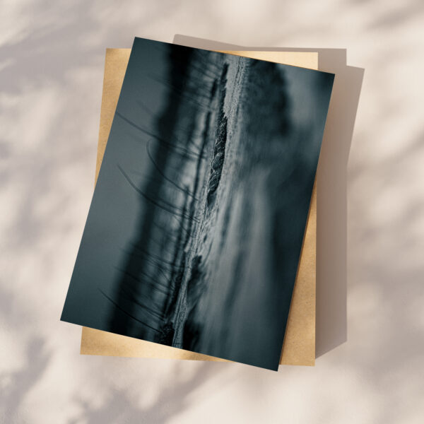 Bleu fleuve – Image 2