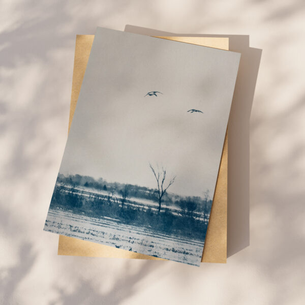 Horizons nouveaux – Image 2