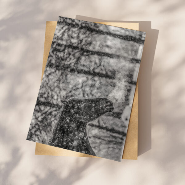 Matin d’hiver – Image 2