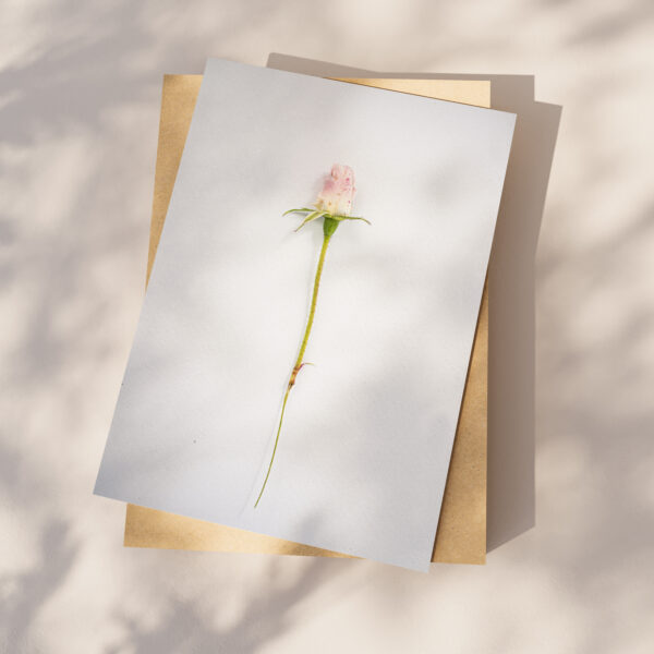 Flore – Image 2